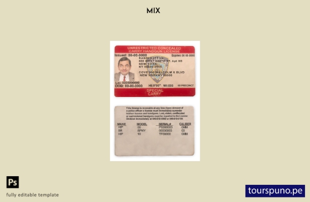 listo para imprimir plantilla de licencia de porte oculto sin restricciones de E